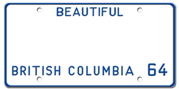 Customize License Plate