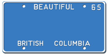 Customize License Plate