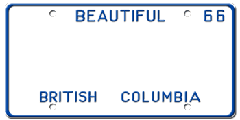 Customize License Plate