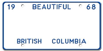 Customize License Plate