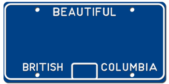 Customize License Plate