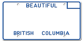 Customize License Plate