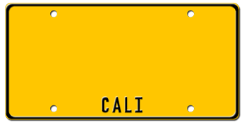 Customize License Plate