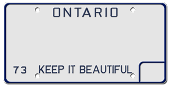 Customize License Plate