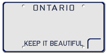 Customize License Plate