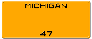 Customize License Plate