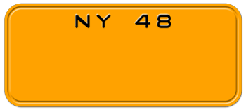 Customize License Plate