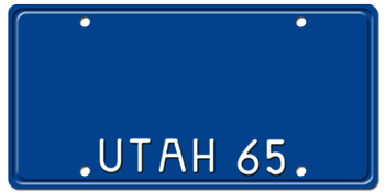 Customize License Plate