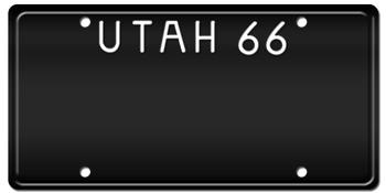 Customize License Plate