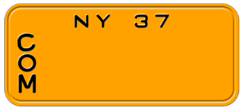 Customize License Plate