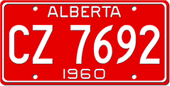 Samples of License Plates with Painted Finish
