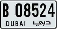 Samples of License Plates With Reflective Finishes Image